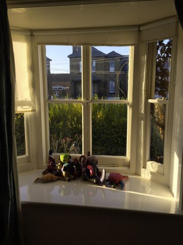 box-sash-windows-039